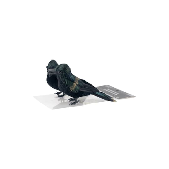 Iridescent Black Crows, 2ct. by Ashland®
